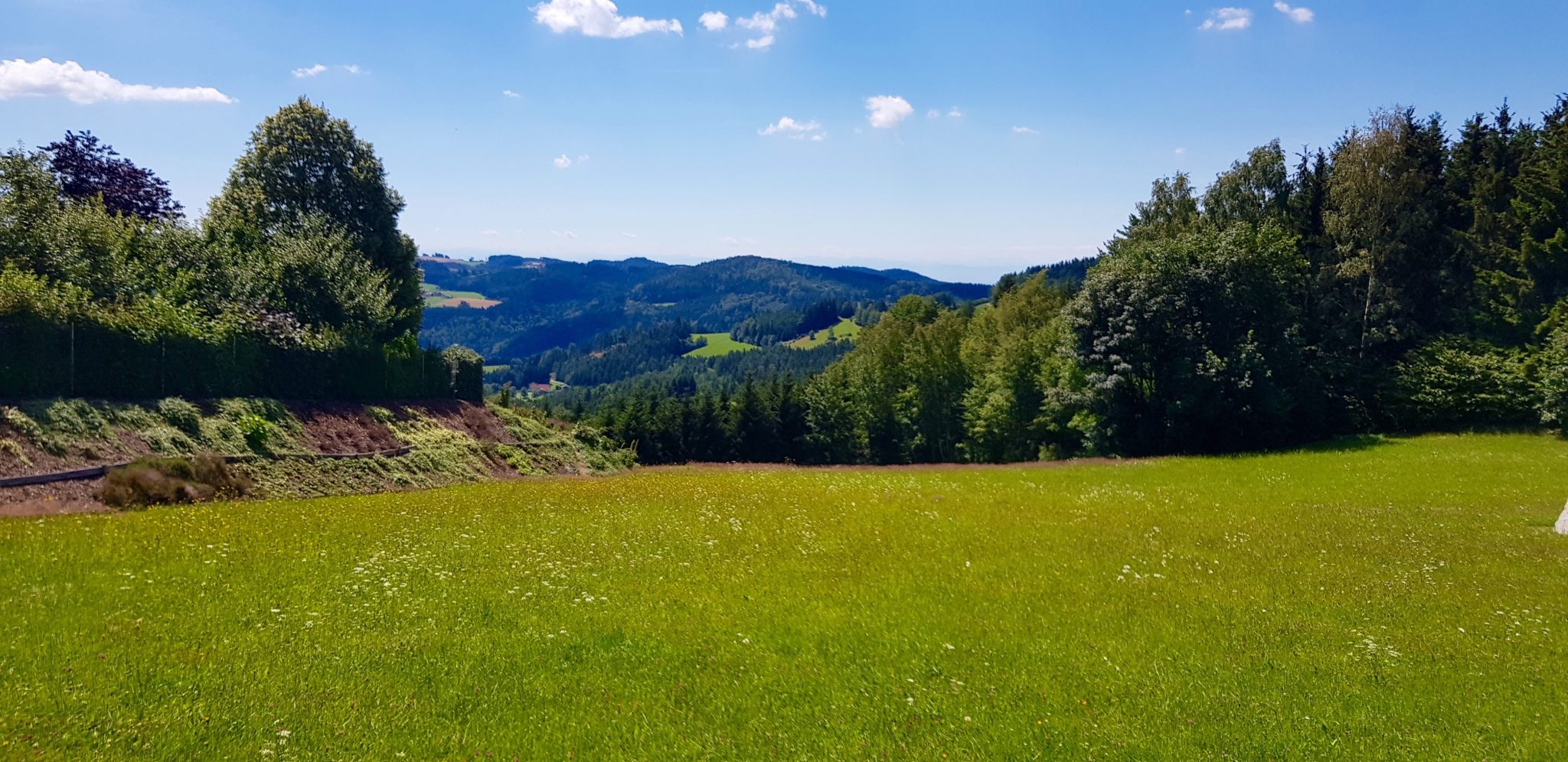 reiten, Pferde Österreich pilgern Mühlviertel Alm Berge