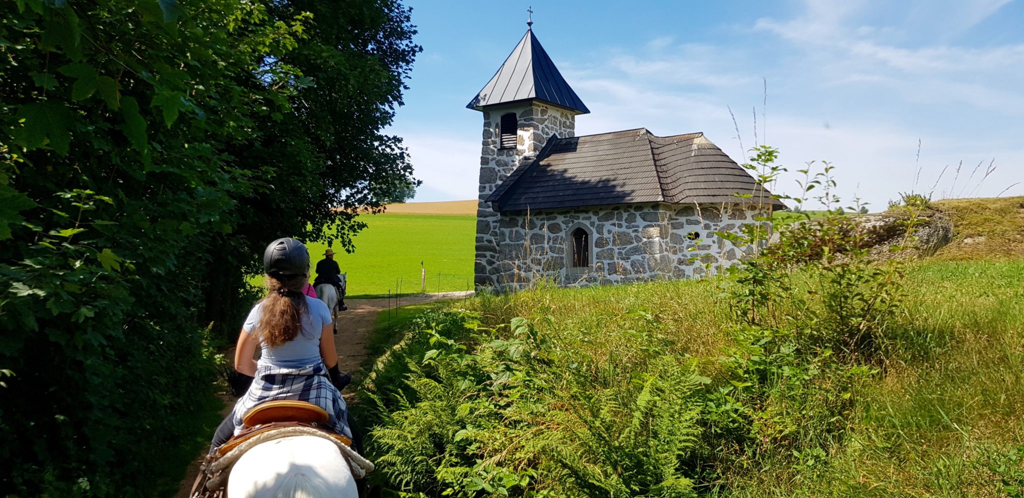 reiten, Pferde Österreich pilgern Mühlviertel Alm Berge