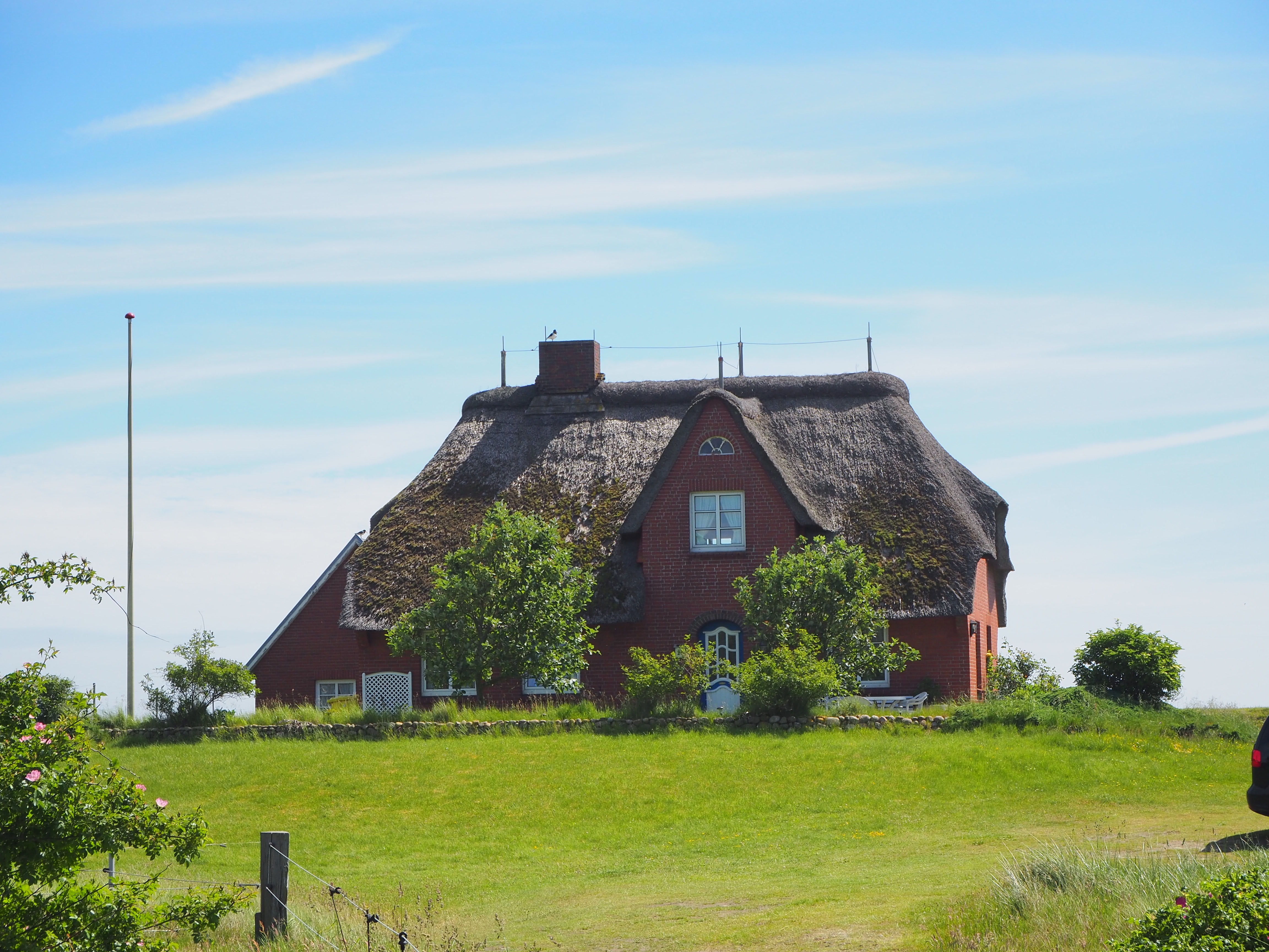 Amrum Nordsee Insel Urlaub Strand Reetdach