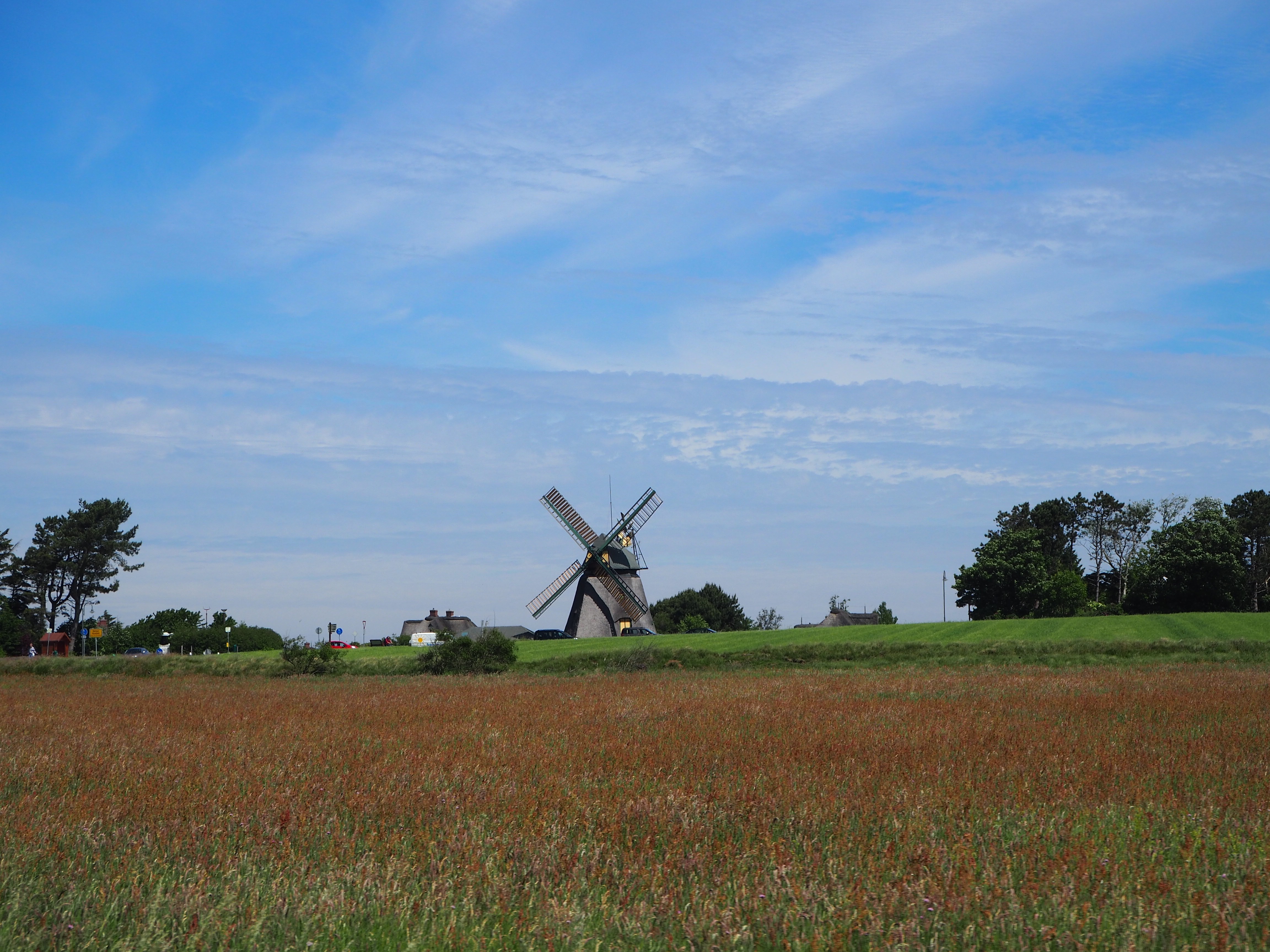 Amrum Nordsee Insel Urlaub Strand