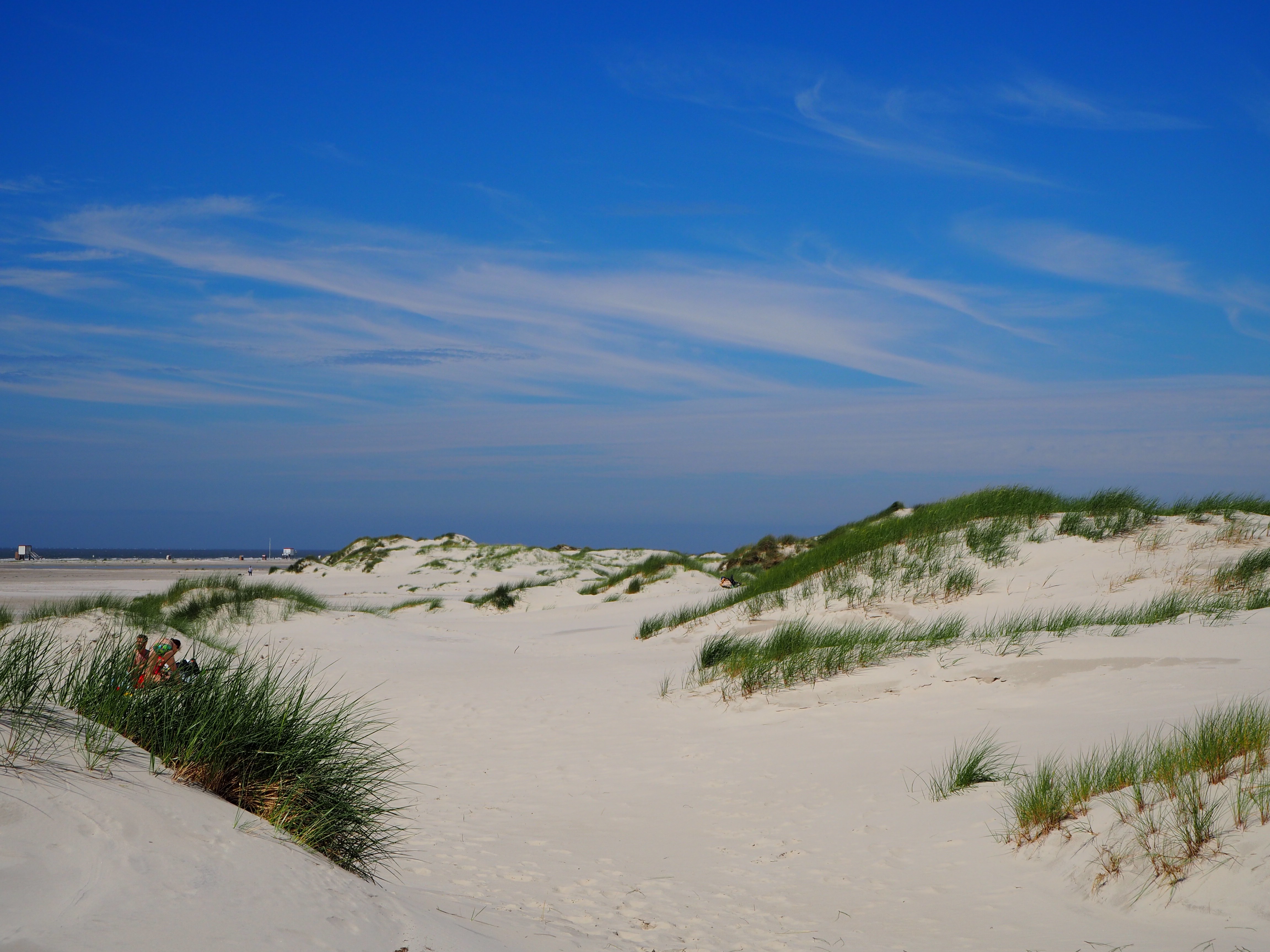 Amrum Nordsee Insel Urlaub Strand