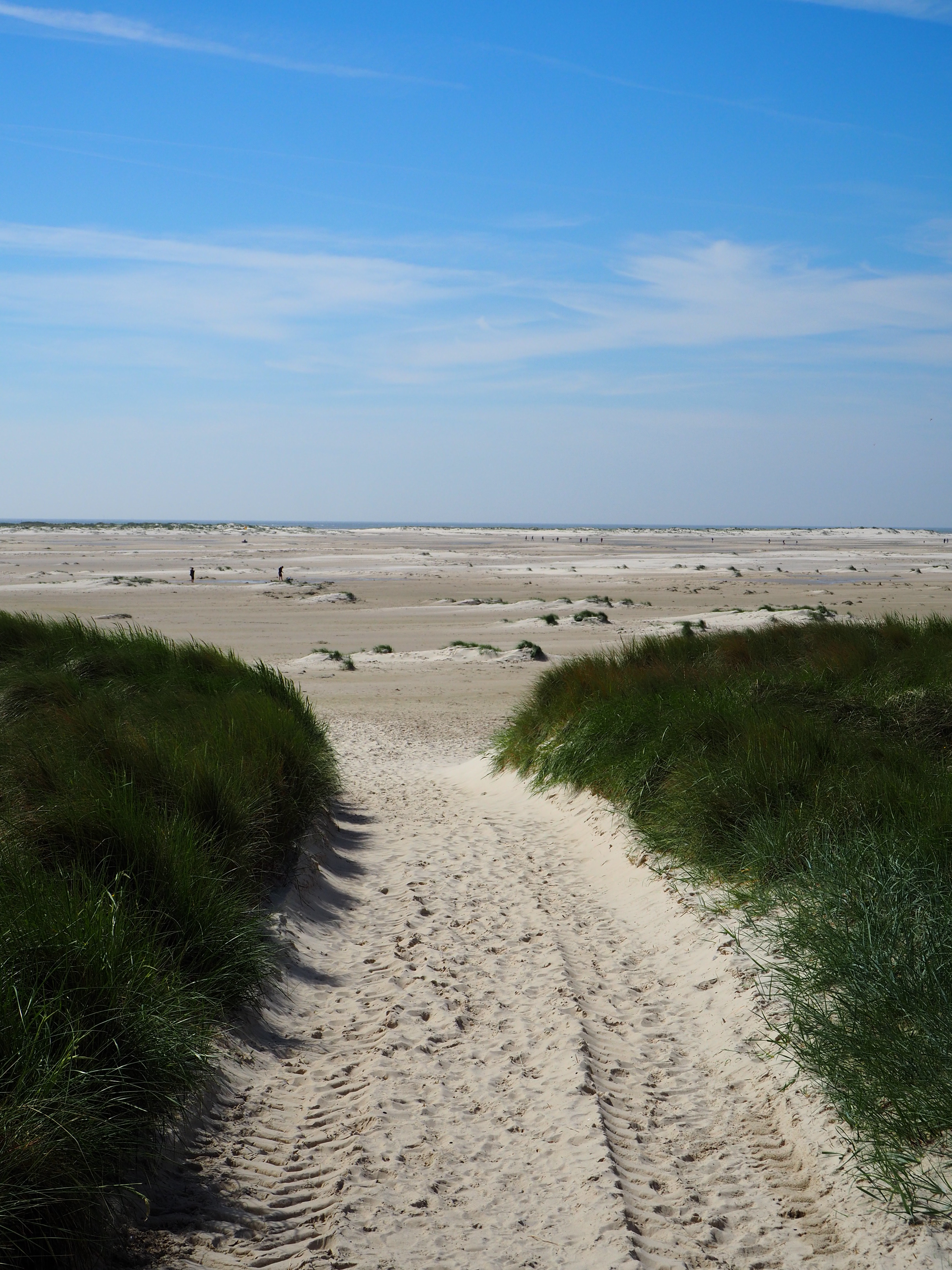 Amrum Nordsee Insel Urlaub Strand