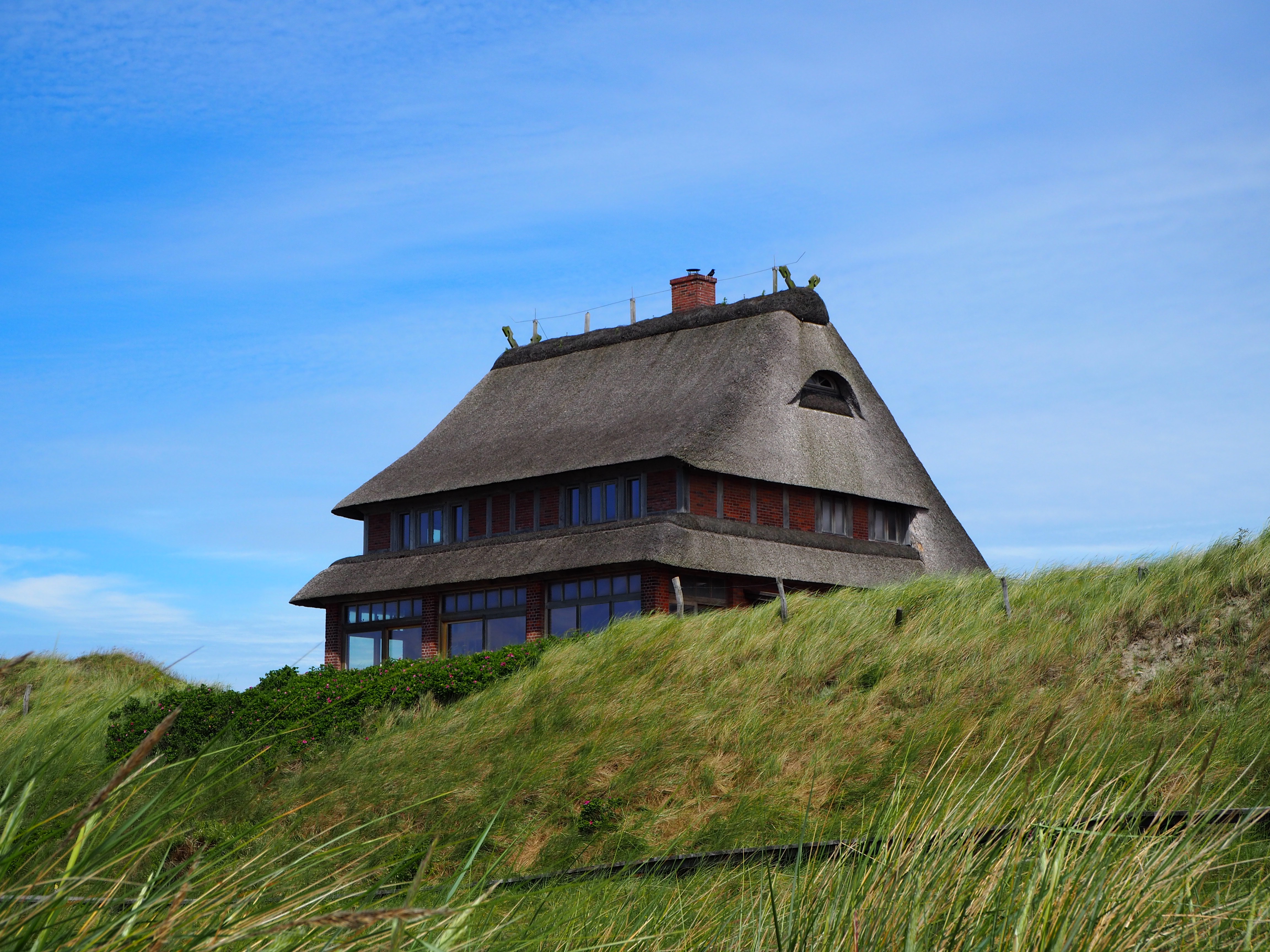 Amrum Nordsee Insel Urlaub Strand Reetdach