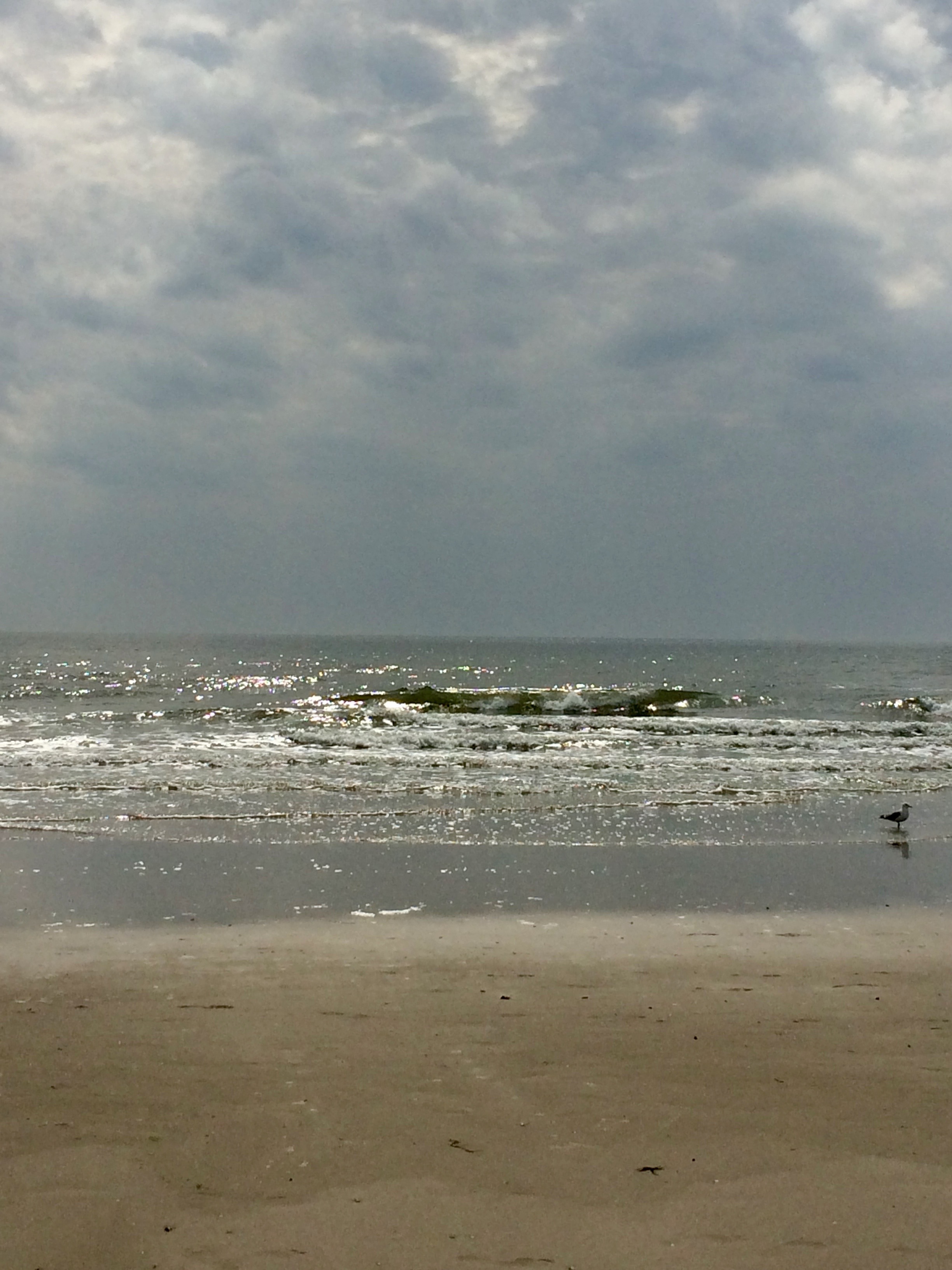 Amrum Nordsee Insel Urlaub Strand