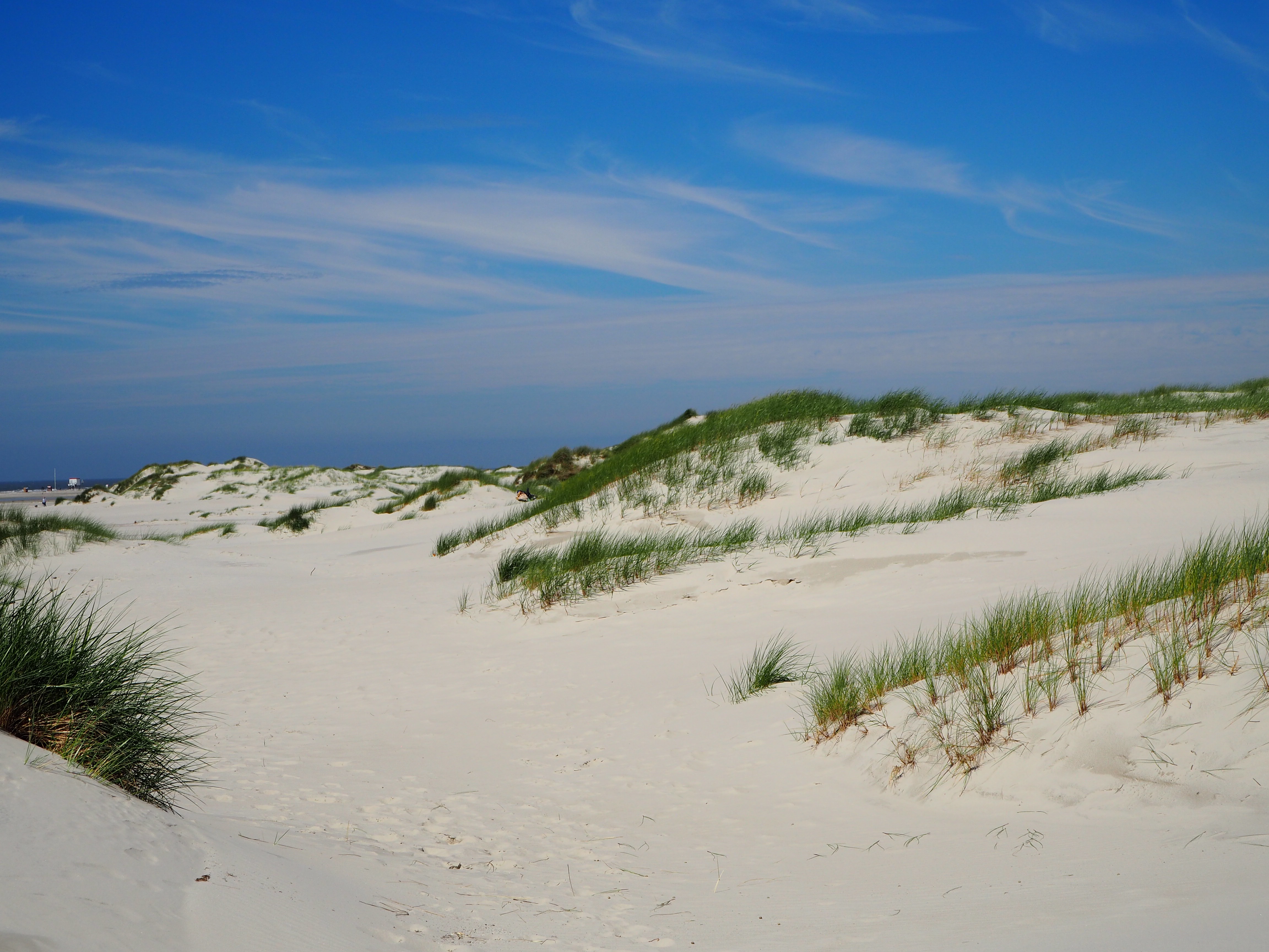 Amrum Nordsee Insel Urlaub Strand