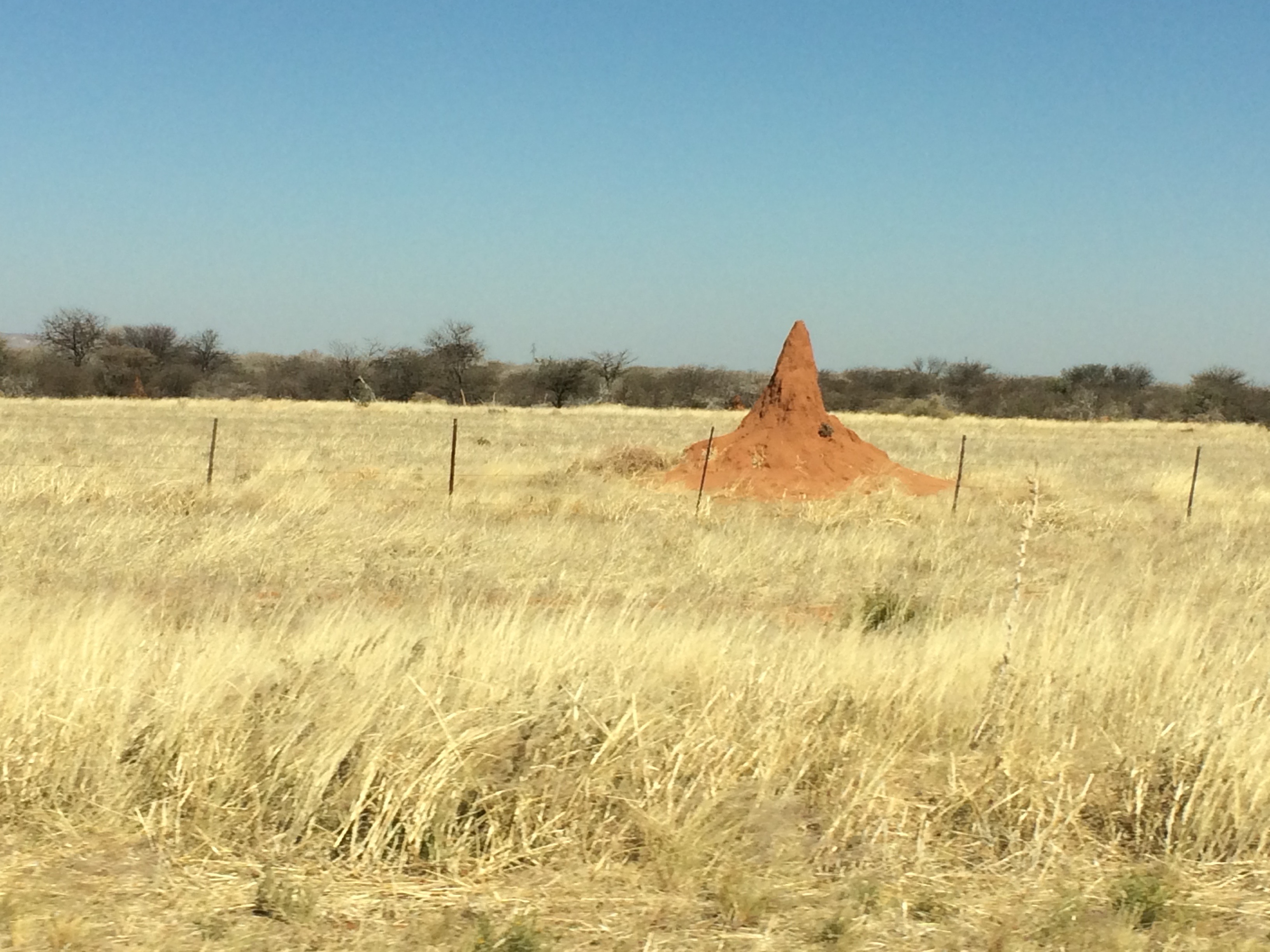 Windhoek nach Swakopmund Namibia Halbwüste