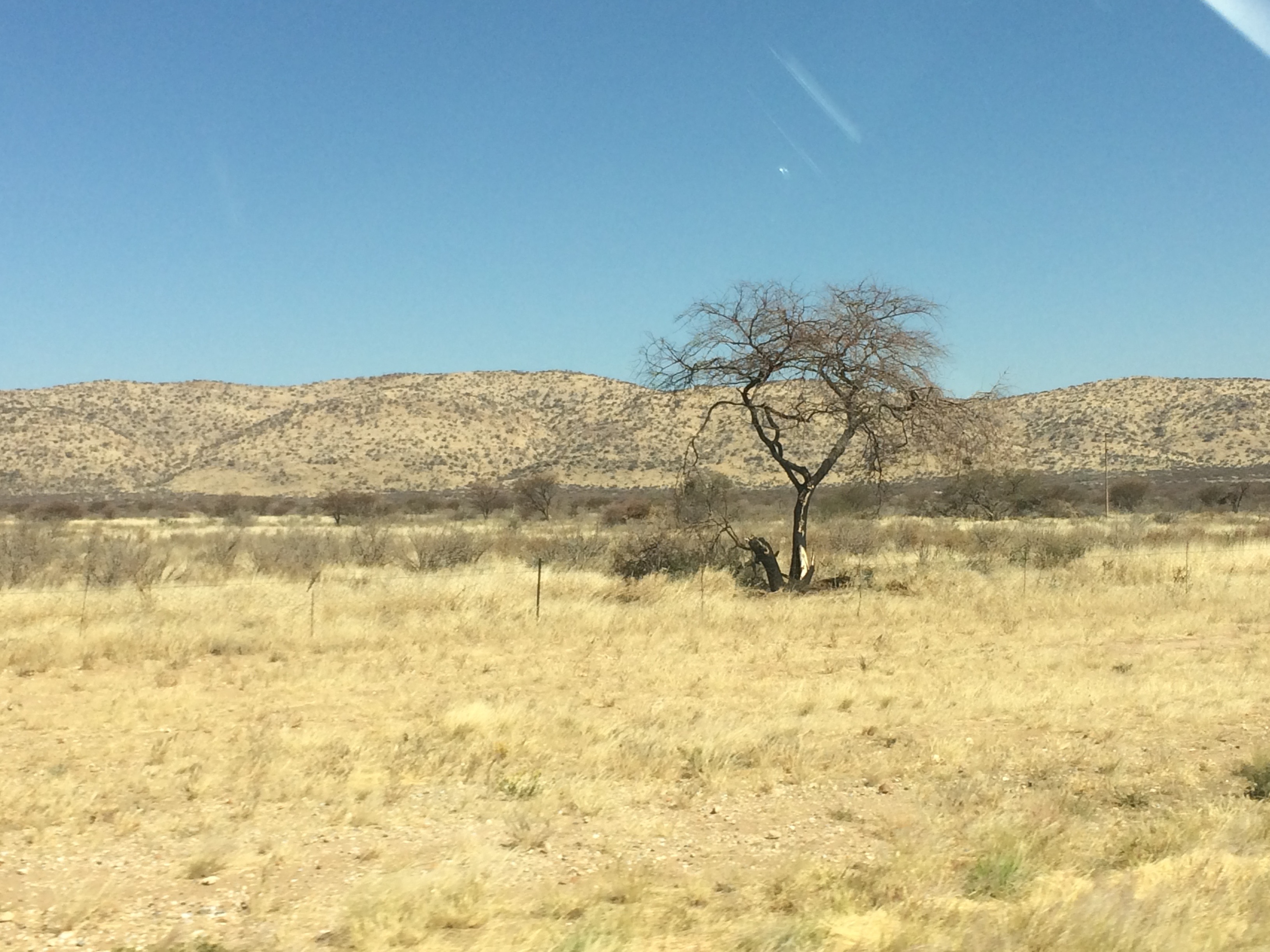 Windhoek nach Swakopmund Namibia Halbwüste