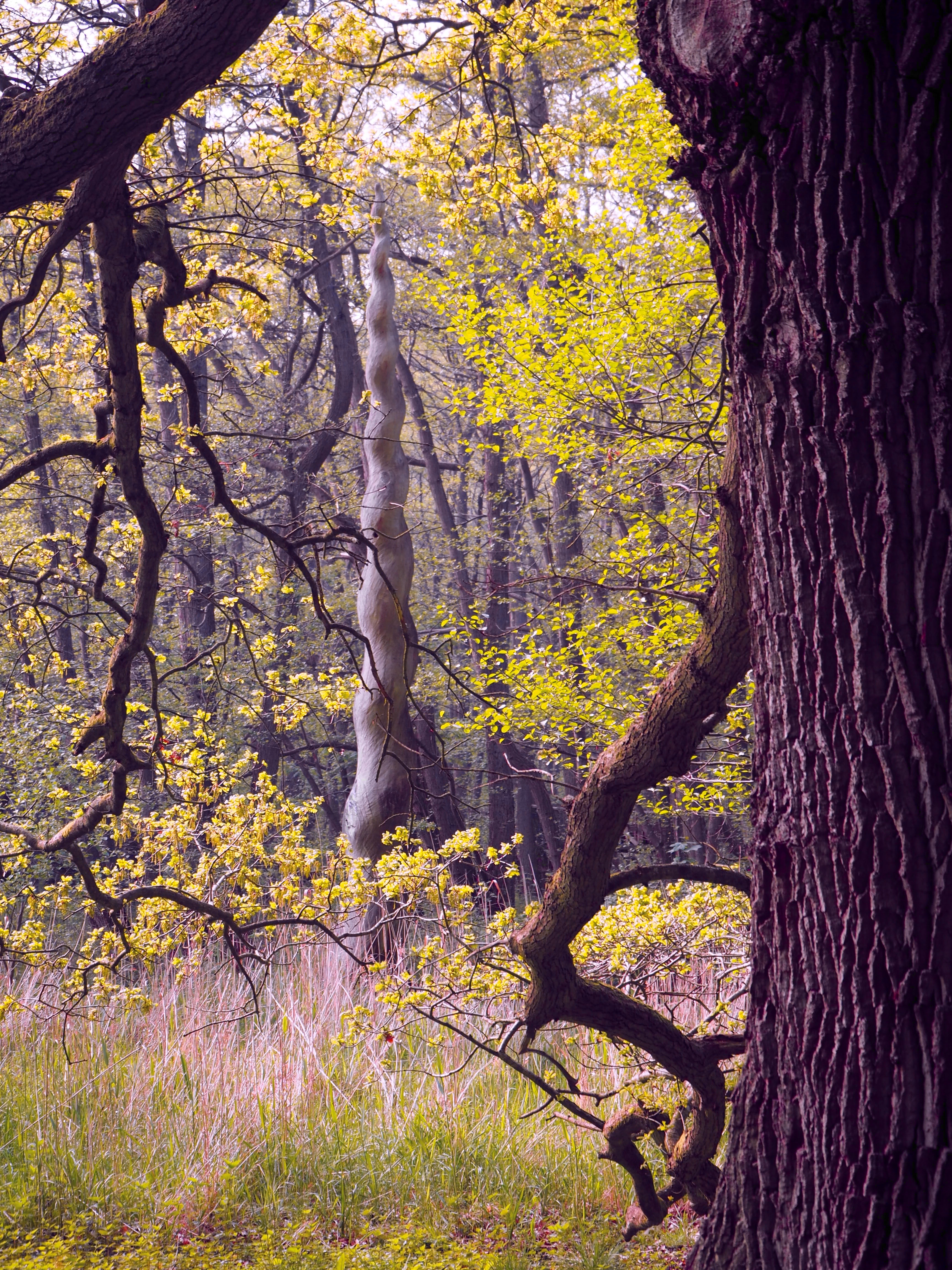 Tranekear Schloss Langeland Dänemark Kunst Natur Wald Tickon