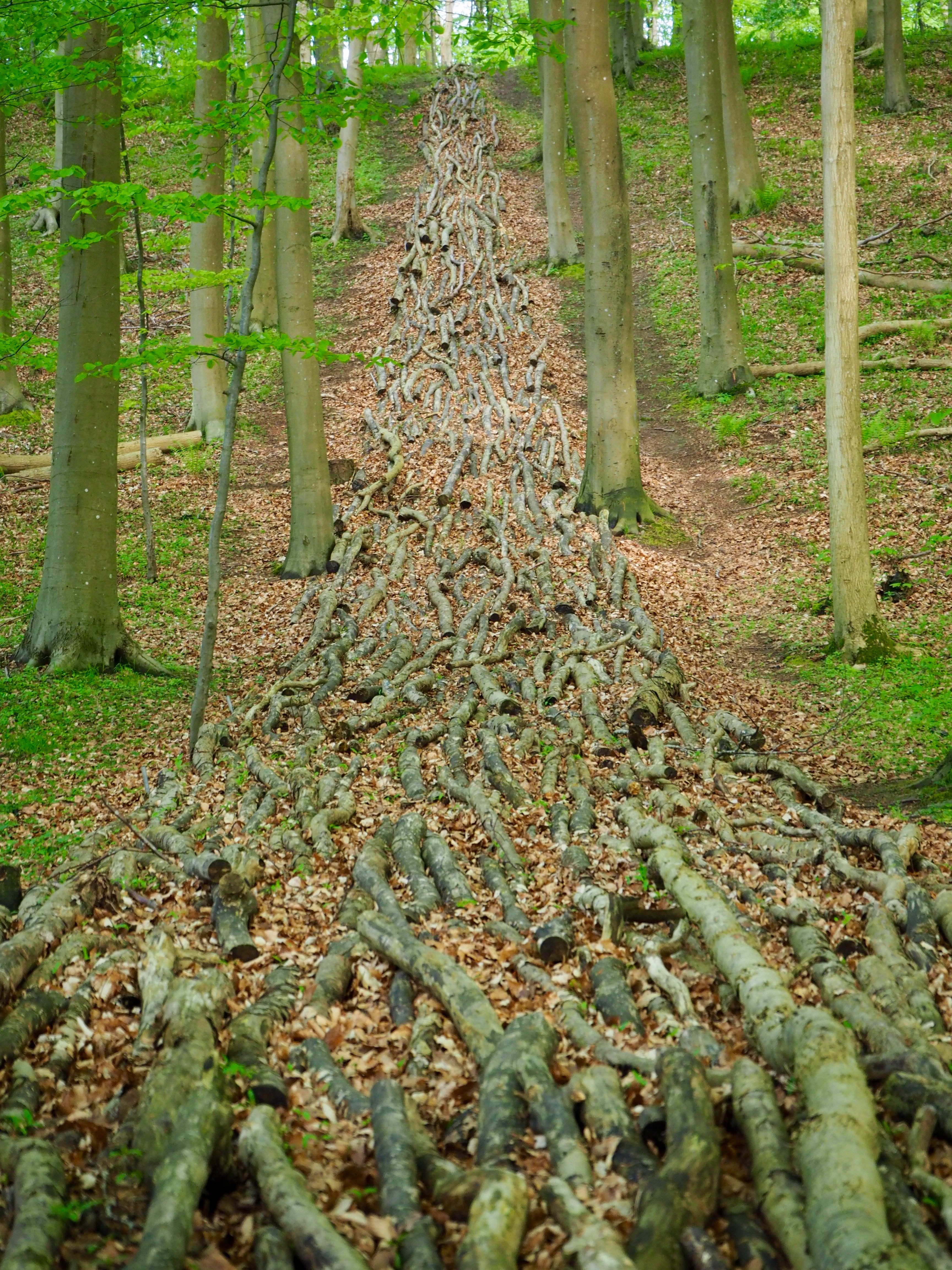 Tranekear Schloss Langeland Dänemark Kunst Natur Wald Tickon