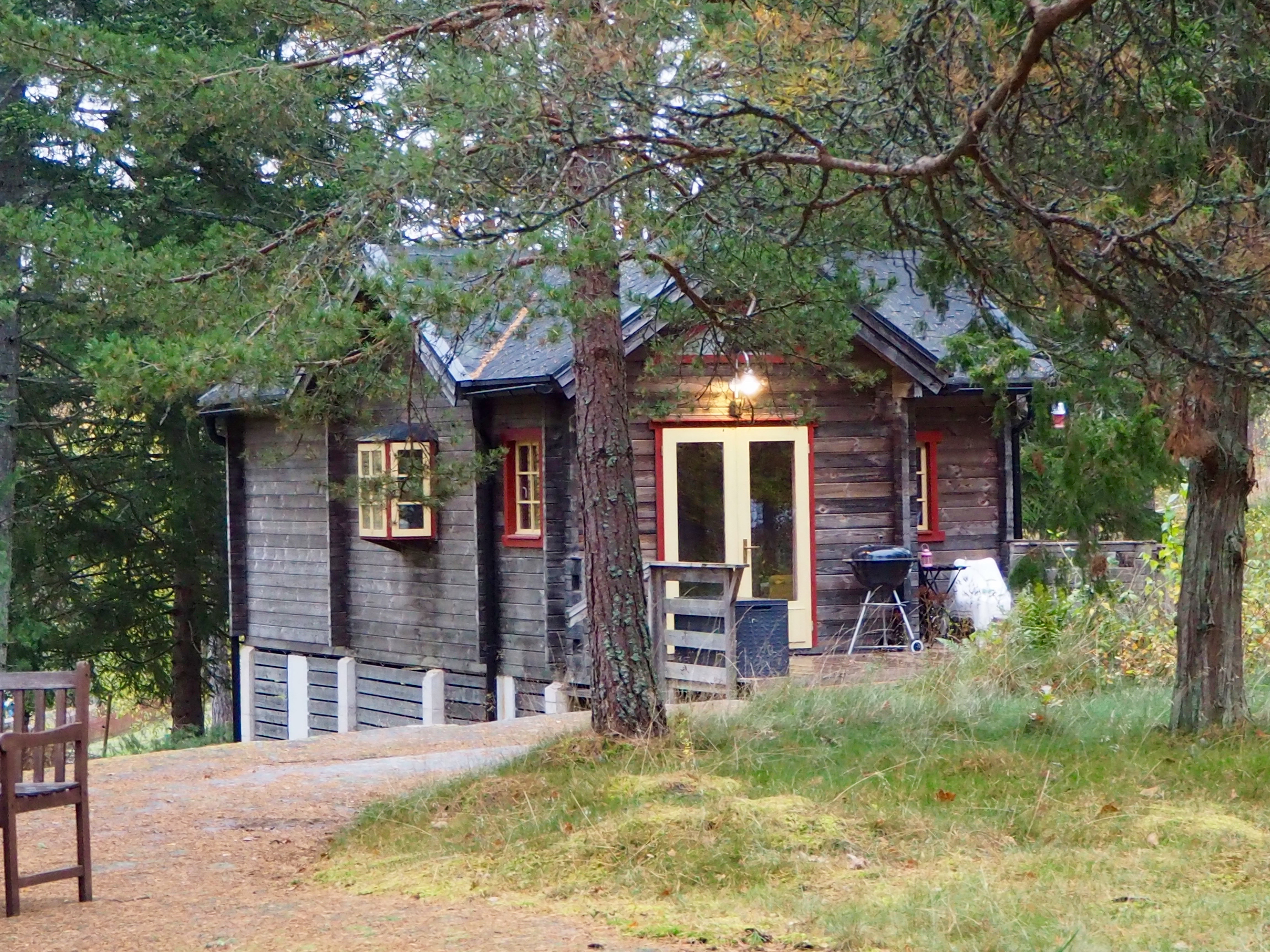 Pilze sammeln in Smaland Schweden Herbst Wald Tovfehult