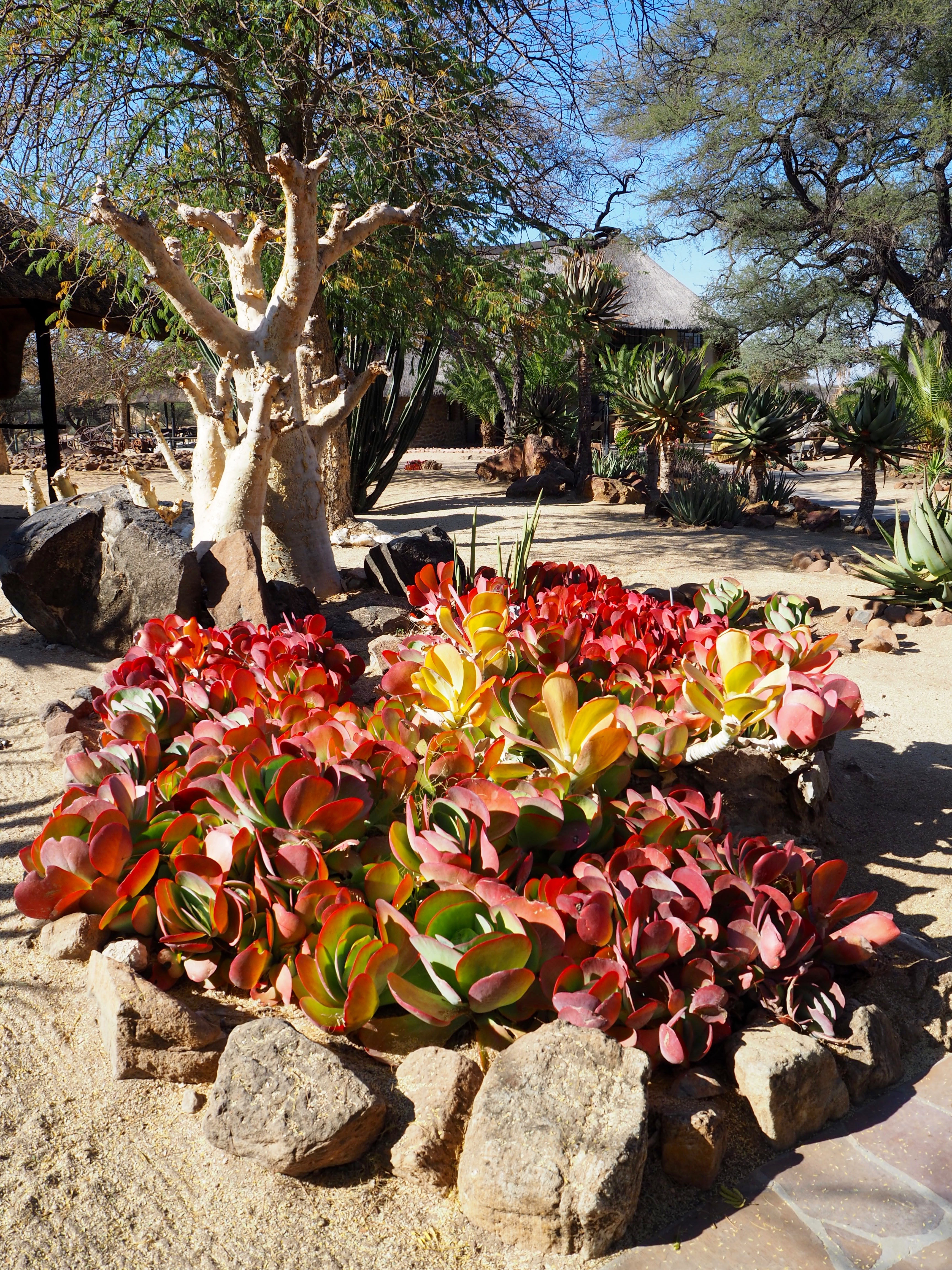 Namibia Omaruru Roidina Geheimtipp Unterkunft stilvoll wohnen